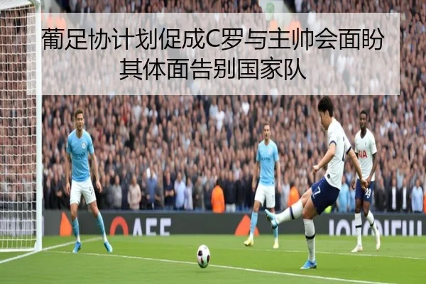 葡足协计划促成C罗与主帅会面盼其体面告别国家队